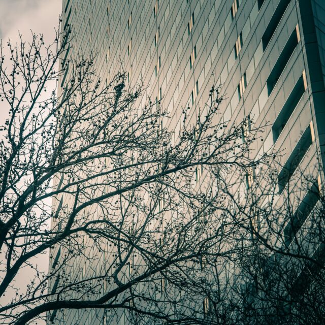 From my photo walk in Downtown Dallas last Saturday. #photography #downtown #photooftheday 
#dallas