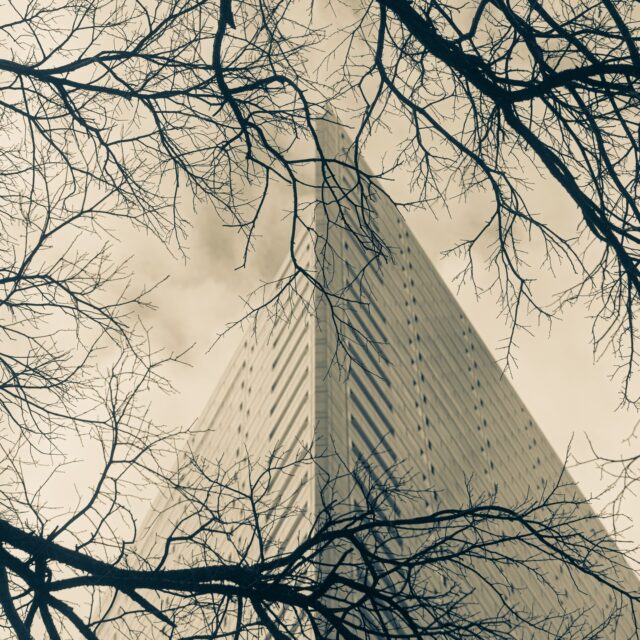 Downtown Dallas a few weekends ago. #photography #photographylovers #downtown #dallas